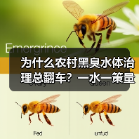 为什么农村黑臭水体治理总翻车？一水一策量身定制才是解药