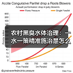 农村黑臭水体治理：一水一策精准施治是怎么回事（图3）