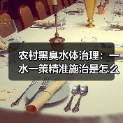 农村黑臭水体治理：一水一策精准施治是怎么回事