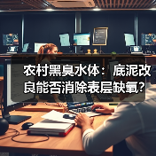 农村黑臭水体：底泥改良能否消除表层缺氧？（图3）