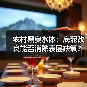 农村黑臭水体：底泥改良能否消除表层缺氧？（图4）