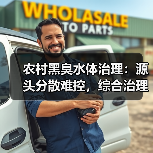 农村黑臭水体治理：源头分散难控，综合治理技术来帮忙（图4）