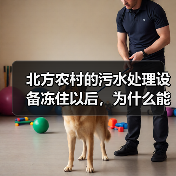北方农村的污水处理设备冻住以后，为什么能很快恢复（图3）