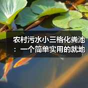 农村污水小三格化粪池：一个简单实用的就地处理办法（图2）