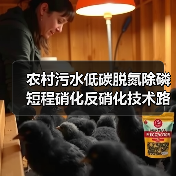 农村污水低碳脱氮除磷短程硝化反硝化技术路线真的走得通吗（图4）