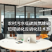 农村污水低碳脱氮除磷短程硝化反硝化技术路线真的走得通吗