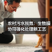 农村污水脱氮：生物膜协同强化处理新工艺（图4）