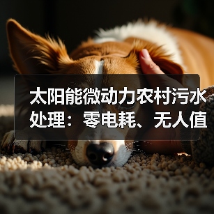 太阳能微动力农村污水处理：零电耗、无人值守的环保方案（图4）