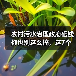 农村污水治理政府砸钱你也别这么搞，这7个坑踩一个就白干（图4）