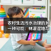 农村生活污水治理的另一种可能：林灌湿地与生态循环