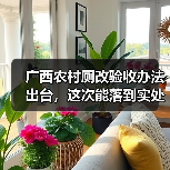 广西农村厕改验收办法出台，这次能落到实处吗？（图2）