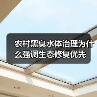 农村黑臭水体治理为什么强调生态修复优先（图2）