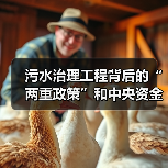 污水治理工程背后的“两重政策”和中央资金