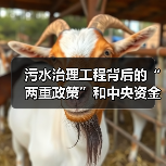 污水治理工程背后的“两重政策”和中央资金（图3）