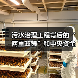 污水治理工程背后的“两重政策”和中央资金（图2）
