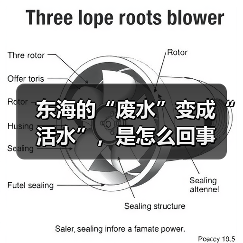 东海的“废水”变成“活水”，是怎么回事（图4）