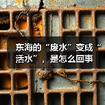 东海的“废水”变成“活水”，是怎么回事