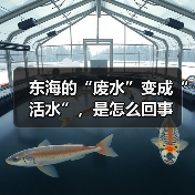 东海的“废水”变成“活水”，是怎么回事（图2）