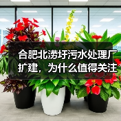 合肥北涝圩污水处理厂扩建，为什么值得关注（图2）
