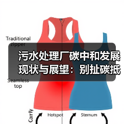 污水处理厂碳中和发展现状与展望：别扯碳抵消了，你那点手艺根本不够看（图2）