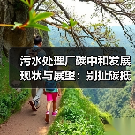污水处理厂碳中和发展现状与展望：别扯碳抵消了，你那点手艺根本不够看