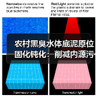 农村黑臭水体底泥原位固化钝化：削减内源污染的新逻辑？