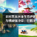 农村黑臭水体生态护坡与植被缓冲带：拦截净化的真实效果（图4）