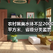 农村黑臭水体不足2000平方米，省级分类监管到底改变了什么（图4）