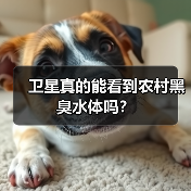 卫星真的能看到农村黑臭水体吗？（图2）