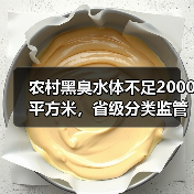 农村黑臭水体不足2000平方米，省级分类监管到底改变了什么