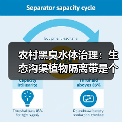 农村黑臭水体治理：生态沟渠植物隔离带是个好办法（图3）