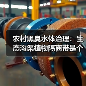 农村黑臭水体治理：生态沟渠植物隔离带是个好办法