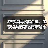农村黑臭水体治理：生态沟渠植物隔离带是个好办法（图2）