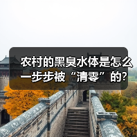 农村的黑臭水体是怎么一步步被“清零”的？
