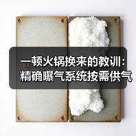 一顿火锅换来的教训：精确曝气系统按需供气鼓风机能耗降低5%（图4）