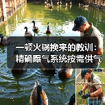 一顿火锅换来的教训：精确曝气系统按需供气鼓风机能耗降低5%（图2）