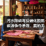污水除磷与反硝化脱氮碳源争夺矛盾，真的无解吗？（图3）