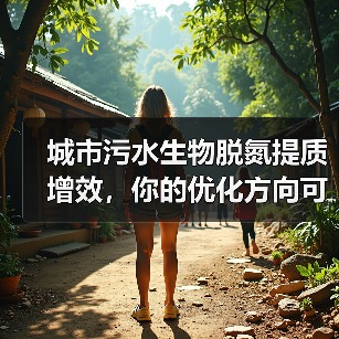 城市污水生物脱氮提质增效，你的优化方向可能全错了