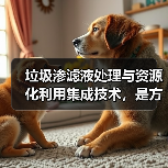 垃圾渗滤液处理与资源化利用集成技术，是方向还是逃不出的死循环？（图3）