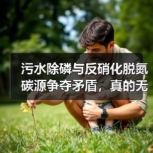 污水除磷与反硝化脱氮碳源争夺矛盾，真的无解吗？（图4）