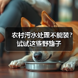 农村污水处理不能装？试试这些野路子（图3）