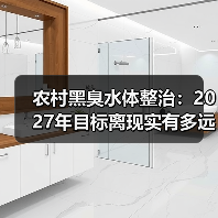 农村黑臭水体整治：2027年目标离现实有多远？（图4）