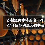 农村黑臭水体整治：2027年目标离现实有多远？（图3）