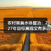农村黑臭水体整治：2027年目标离现实有多远？（图2）