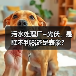 污水处理厂+光伏，是降本利器还是表象？