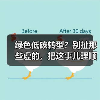绿色低碳转型？别扯那些虚的，把这事儿理顺了再说