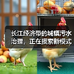 长江经济带的城镇污水治理，正在摸索新模式新机制（图2）