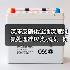 深床反硝化滤池深度脱氮处理准IV类水质，你真的搞懂了？（图2）
