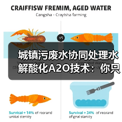 城镇污废水协同处理水解酸化A2O技术：你只改参数是在瞎忙？（图2）