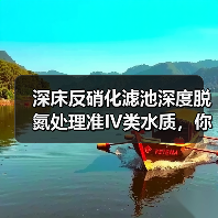 深床反硝化滤池深度脱氮处理准IV类水质，你真的搞懂了？（图3）